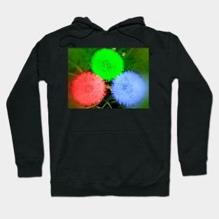 Three Dandelions Hoodie